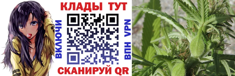 Как найти наркотики Среднеуральск Каннабис  A-PVP  Мефедрон  COCAIN 