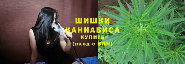 первитин Богданович