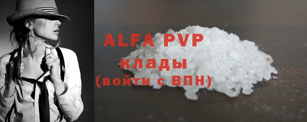 первитин Богданович